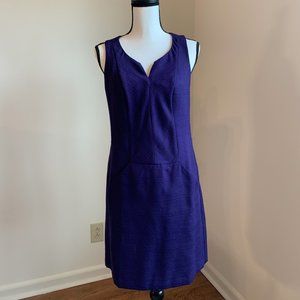 Ann Taylor Loft Shift Dress